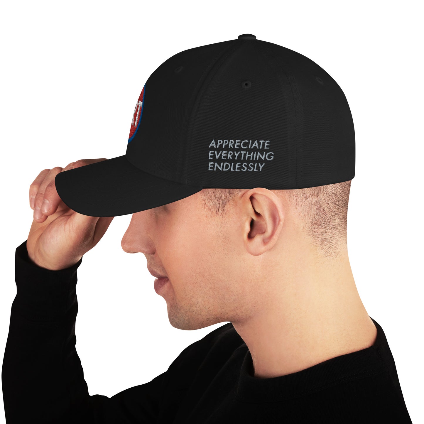 'Appreciate Everything Endlessly' CircleArt (Red, White & Blue) Structured Twill Cap