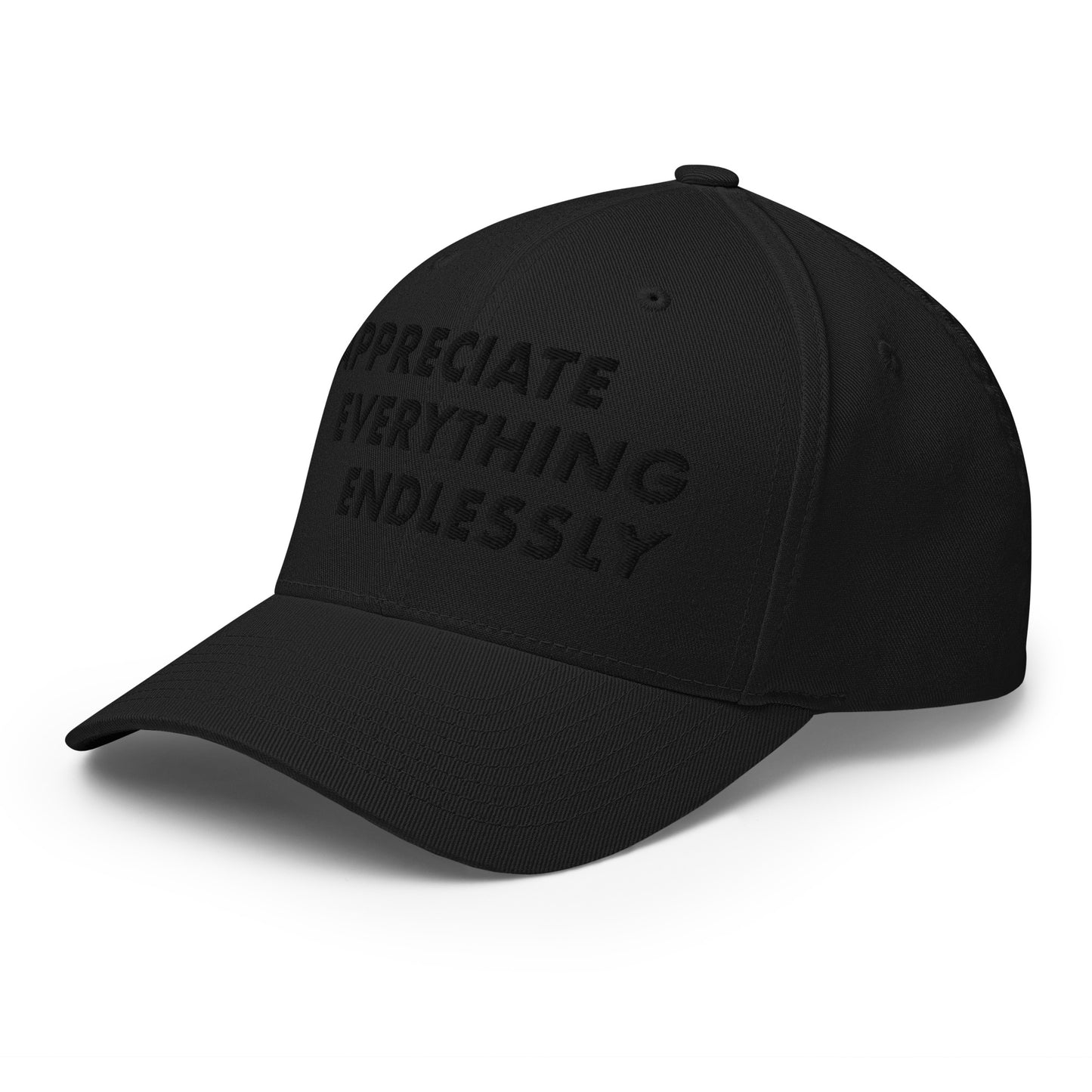 'Appreciate Everything Endlessly' 3-D Puff Embroidery, Monochromatic Embroidered Cap, Black