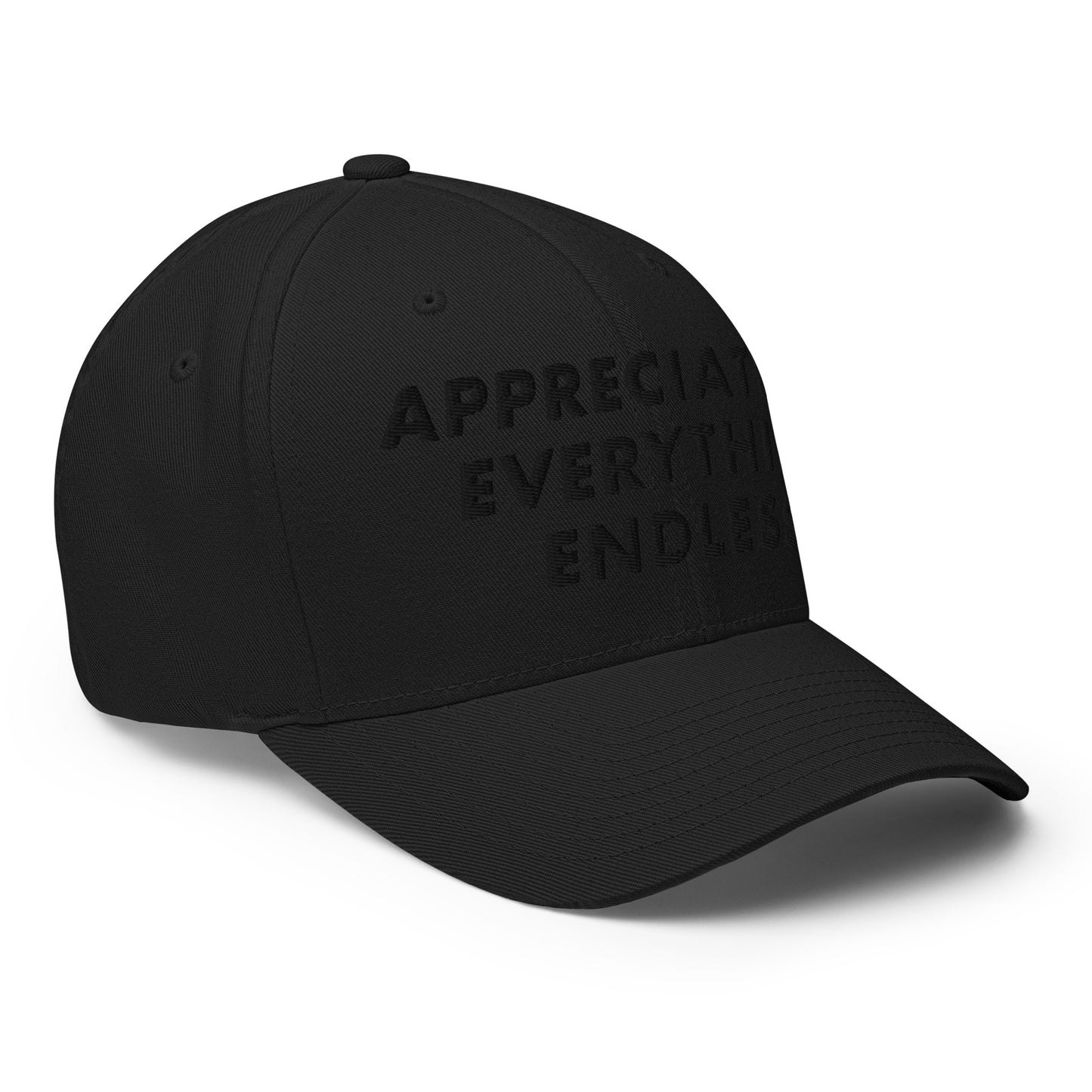 'Appreciate Everything Endlessly' 3-D Puff Embroidery, Monochromatic Embroidered Cap, Black