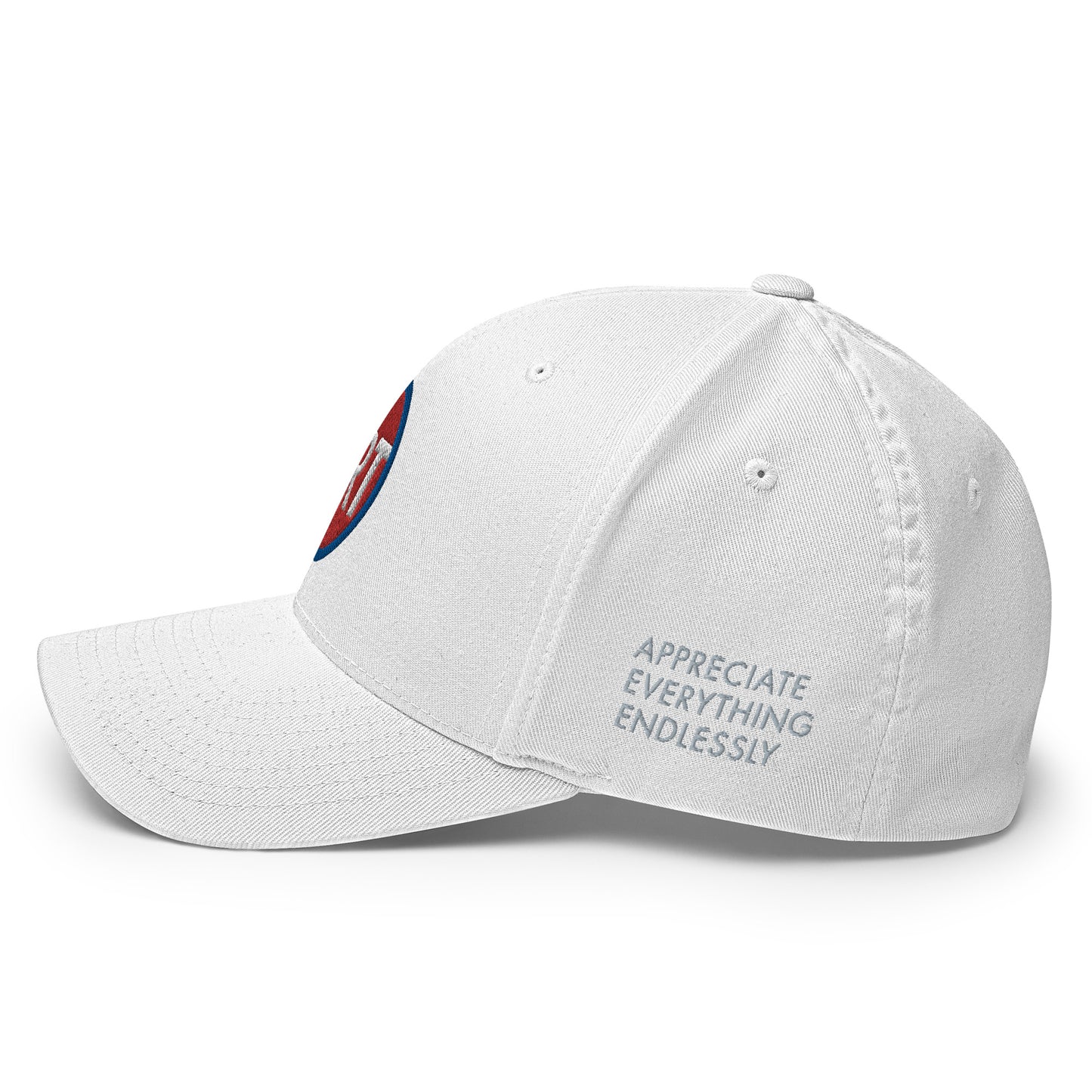 'Appreciate Everything Endlessly' CircleArt (Red, White & Blue) Structured Twill Cap