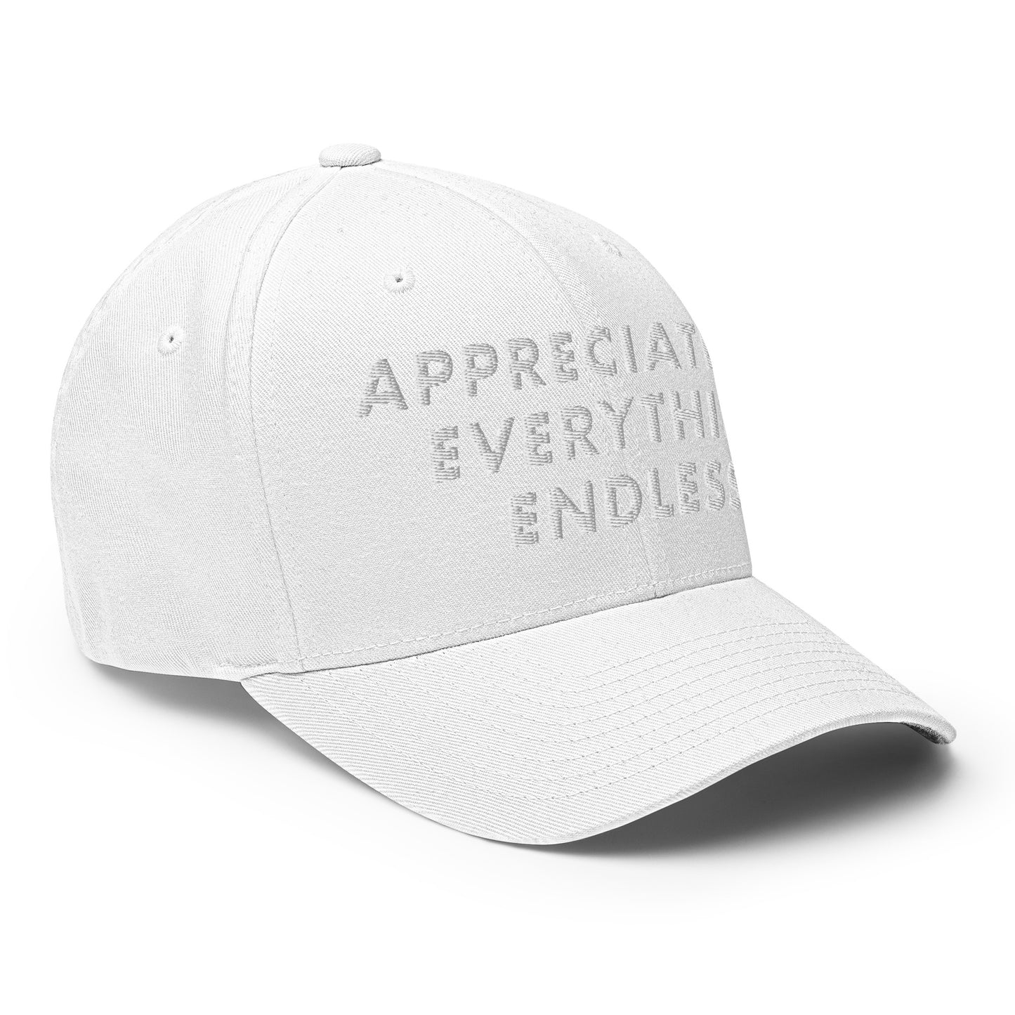 'Appreciate Everything Endlessly' 3-D Puff Embroidery, Monochromatic Embroidered Cap, White