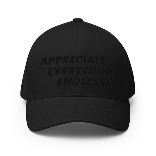 'Appreciate Everything Endlessly' 3-D Monochromatic Embroidered Cap, Black