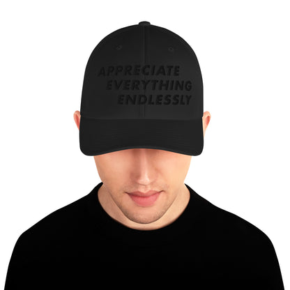 'Appreciate Everything Endlessly' 3-D Monochromatic Embroidered Cap, Black