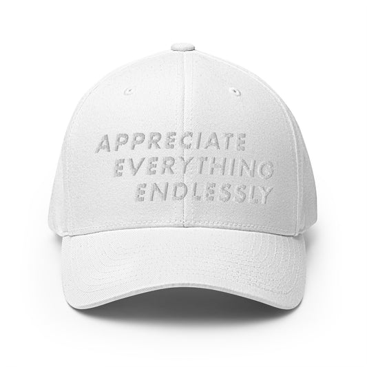 'Appreciate Everything Endlessly' 3-D Monochromatic Embroidered Cap, White